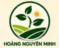 nongsandanang.com