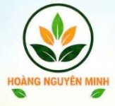 nongsandanang.com