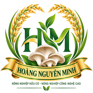nongsandanang.com