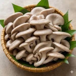Nấm bào ngư tươi 300gr